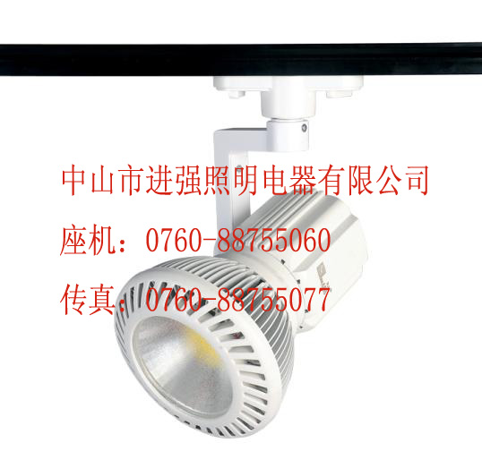 20W˫LED