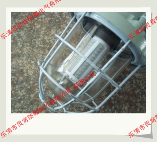 DGS60/127ӫ