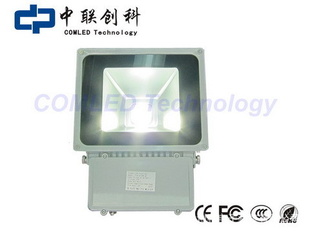 80w7200lmɹԴLEDͶ