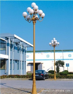 лZH-008