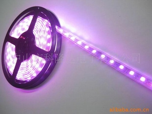 ¡LEDƬƷƬLED