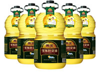 ѿ5L