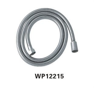 WP12215ԡܻ