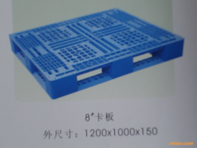 ɽϩϿ壬PE۸