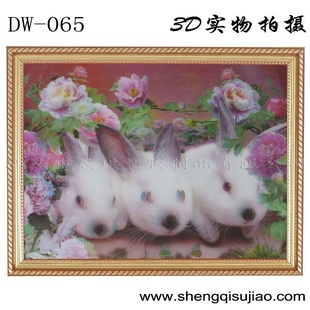 DW065白兔3D立体画宠物动物3D立体画制作印刷批发