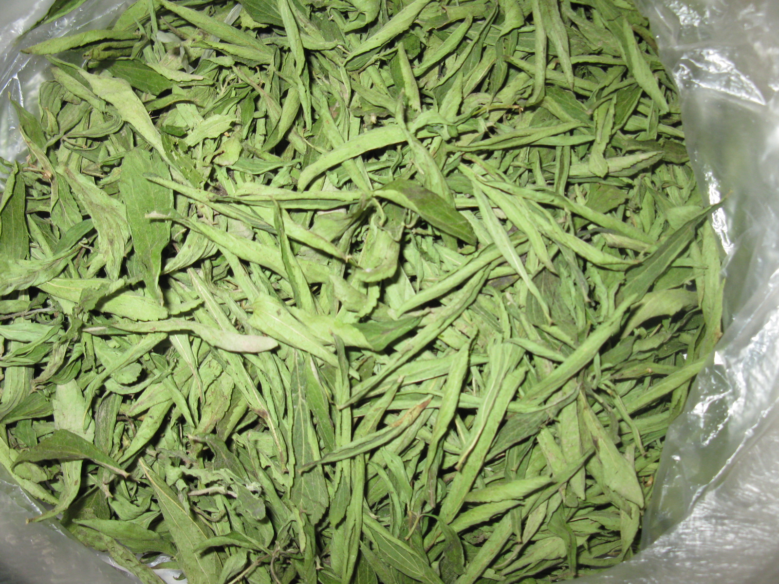 Ҷա