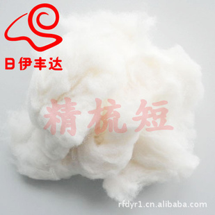 ëëëëwoolnoil