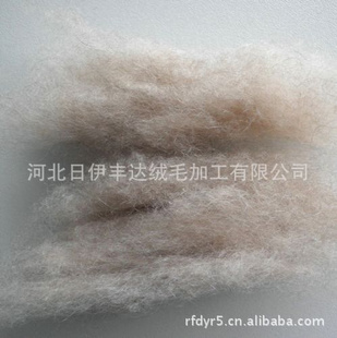 ëɽɽԭշCashmere