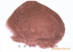 ѩ۳ֱţɴߣyak-yarn