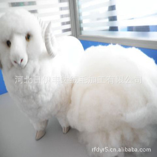 ޣëëԭϣdehairedyinesheepwool