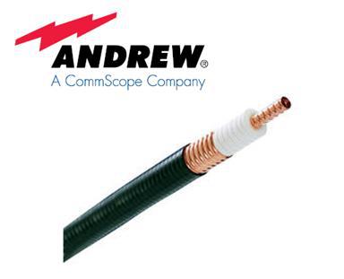 ˹һAndrew³