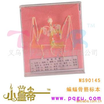 Сʵ걾MS90145