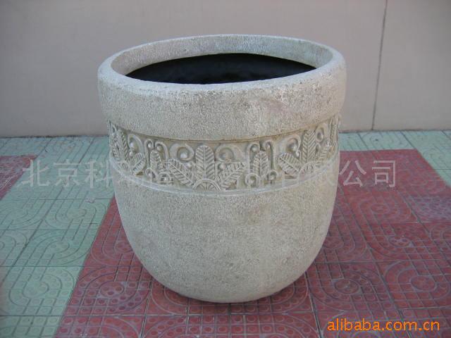 C20ֻ