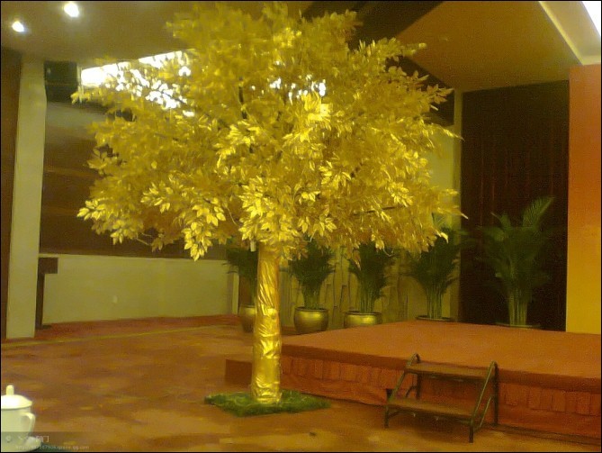 ֲ滨13683512841