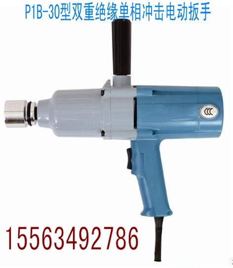 ҷʱ۸P1B-30˫ؾԵ綯