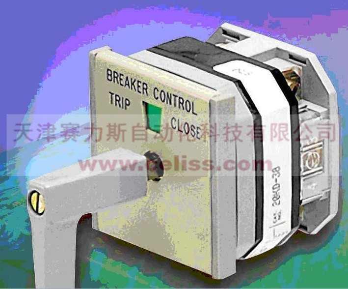 美国ELECTROCAM开关