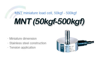 CASشMNT-200LLCT-I420