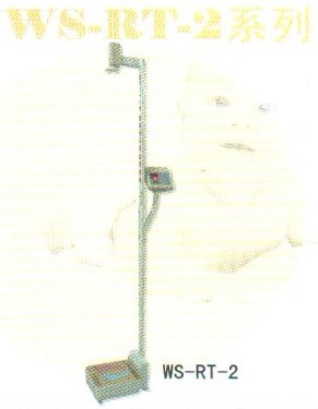 ɽӦWS-RT-2س