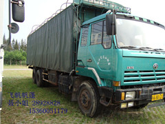 ݸ˳-ںظǻ