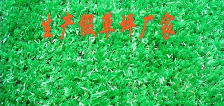 ݶٲƺ̨Ͳƺ
