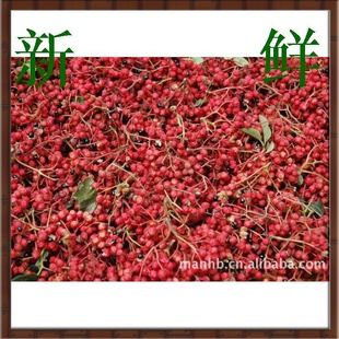 批发山东鲜花椒、青花椒、红花椒