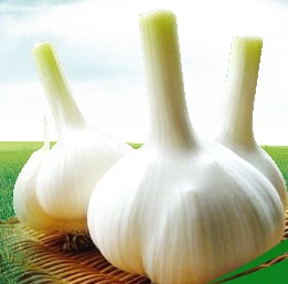 Ӧ⹩Ӧ