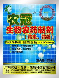 ũ4ũ棩