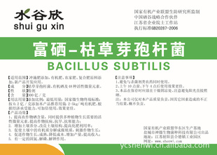 --ݲѿ߸˾Bacillussubtilis