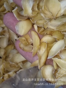ٺϸްٺϸɲֱũӹƷ