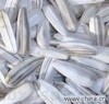 50095135໨