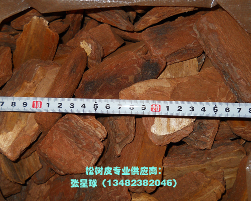 Ƥ۵ر-5-8cm