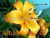 ձӣ,,,13905245803