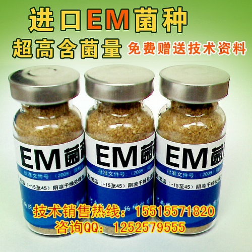 㶫EMҺem۸EMֱֳ