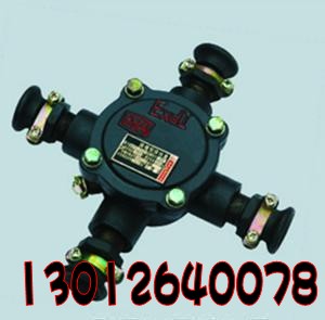 BHD2ߺ