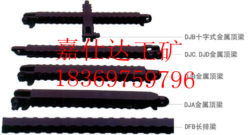 ʮֶ