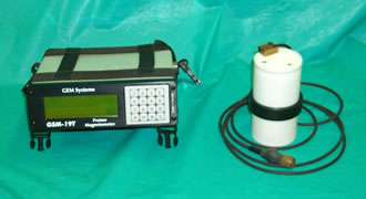 ӴGSM-19T