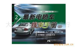 µ糵ֲᣨ2