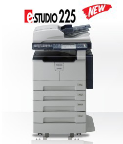 ݹӦ֥ӡe-225븴ϻ