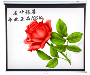 ͶӰĻҶ100ӢĻ
