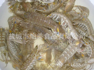 ںʳƷγʳƷ޹˾
