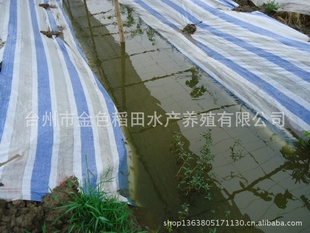 ڰֳֳָƷ