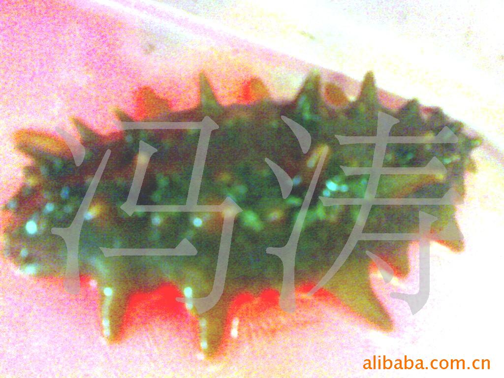 Ʒʴ̲