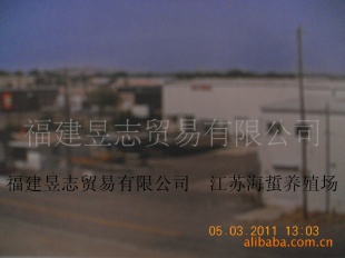 ־ó޹˾۸顢ֳ