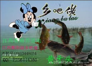 ʳƷлʳƷͷΪͷ