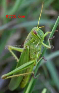 ޻ȣǵɽٶ塣