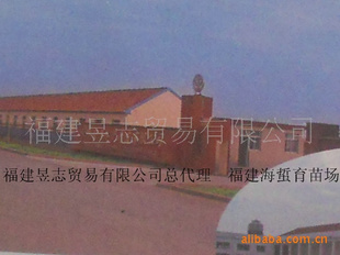 ־ó޹˾۸鸣ֳ