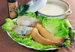 ڼôΰ