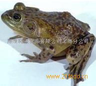 ʻţ