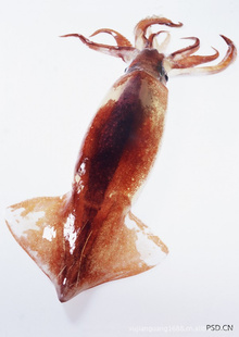ʻϺʻˮƷʻϺϺ