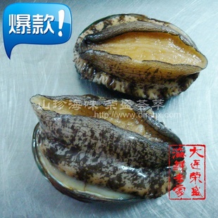 ʢʴ̱ӵ籫籫7-8ͷ/